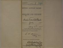 Monthly Sanitary Report of Disease and Injuries, July 1895