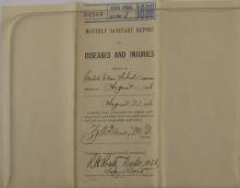 Monthly Sanitary Report of Diseases and Injuries, August 1896