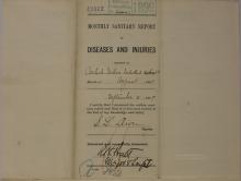 Monthly Sanitary Report of Diseases and Injuries, August 1899