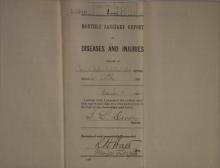 Monthly Sanitary Report of Diseases and Injuries, October 1899