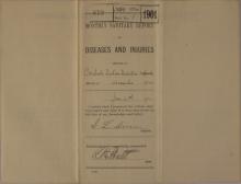Monthly Sanitary Report of Diseases and Injuries, December 1900
