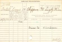 Lizzie Antell Student Information Cards