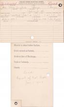 Alice Long Pole Student Information Cards