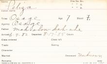 Peliza Student Information Card