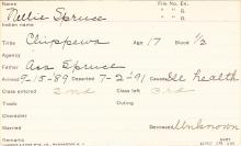 Nellie Spruce Student Information Card