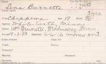Lena Brunette Student Information Card