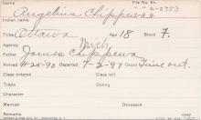 Angelina Chippewa Student Information Card