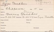 Agnes Goedker Student Information Card