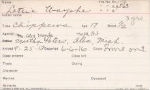 Lottie Wayshe Student Information Card