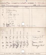 Alexander Cadotte Progress Card