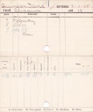David Quinlan Progress Card