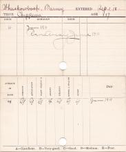 Barney Shashawabach Progress Card