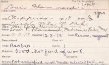 Louis Flammand Student Information Card