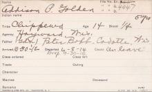 Addison P. Golden Student Information Card
