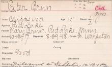 Peter Brun Student Information Card