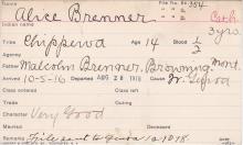 Alice Bremner Student Information Card