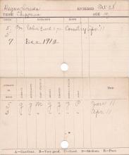 Louise Degan Progress Card