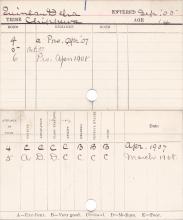 Delia Quinlan Progress Card