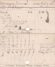 Jennie Sampson Progress Card