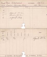 Scholastica Mad Bear Progress Card