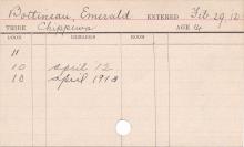 Emerald Bottineau Progress Card