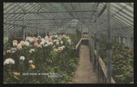 color image; view of the interior of the greenhouse, a bed of pink, white and yellow flowers takes up most of the left side of the photograph, on the right is a path between beds, the poles holding up the roof, and another bed of greenery
