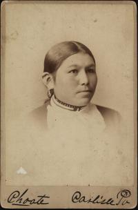 Rose White Thunder, c.1885