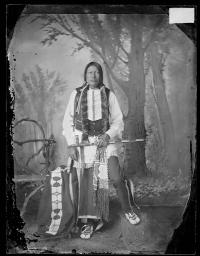 Little Wolf [version 1], c.1885