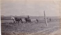 David Little Oldman Plowing Field, #2, 1910