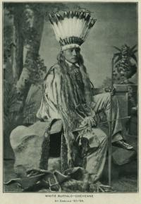 White Buffalo in headdress with bow and arrow (pose #1) [version 2], 1881