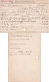 Levi Williams Student File