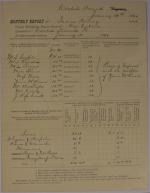 Monthly School Report for January 1880