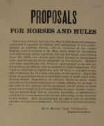 Office Informed No Proposals Received for Horses and Mules