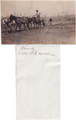 David Little Oldman (Braided Locke) Student File