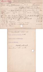 Levi Williams Student File