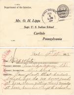 Phillips Bob Tail Student File