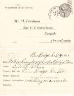 Nelson Long Wolf Student File