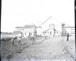 Male Students Tending a Garden Beside the Greenhouse, c. 1910