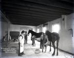 Students Shoeing Horses in the Blacksmith Shop, c.1909