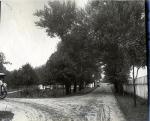 Road Behind Administration Building, c.1909 Road Behind Administration Building, c.1909