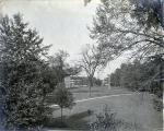 Central Campus Seen Through Trees, c. 1909