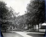 Houses Shrouded in Trees, c. 1909