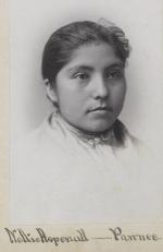 Nellie Aspenall, c.1886