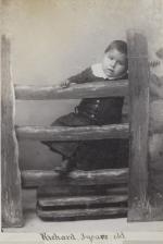 Richard Doanmoe posed on a gate [version 2], 1889
