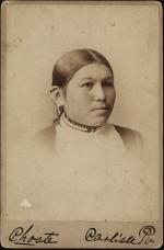 Rose White Thunder, c.1885