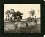 Male Students Working on Stone Wall, 1901 Male Students Working on Stone Wall, 1901