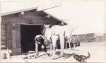David Little Old Man Shoeing a Horse, 1910