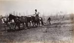 David Little Oldman Plowing Field, #1, 1910