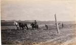 David Little Oldman Plowing Field, #2, 1910