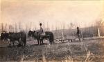 David Little Oldman Plowing Field, #4, 1910